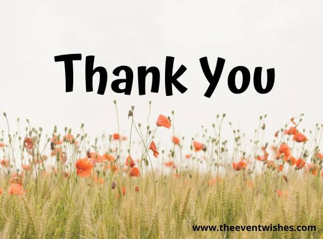 thank you note for birthday wishes thank you note for birthday wishes