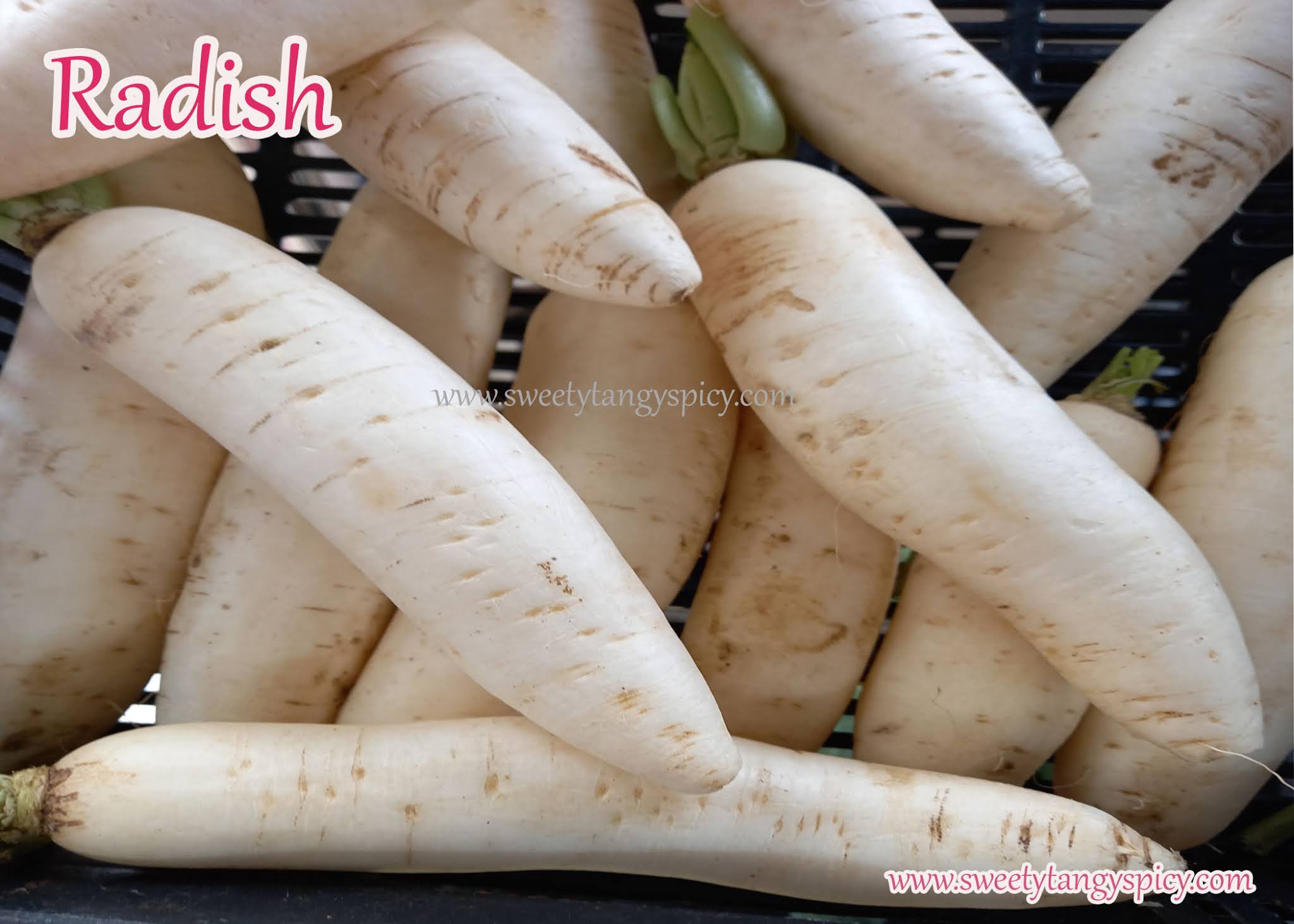 Radish