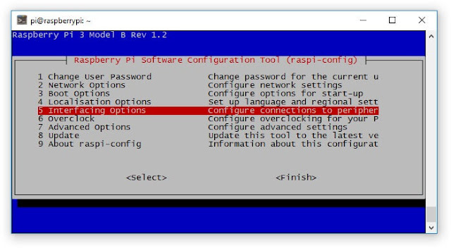 raspberry pi camera setup