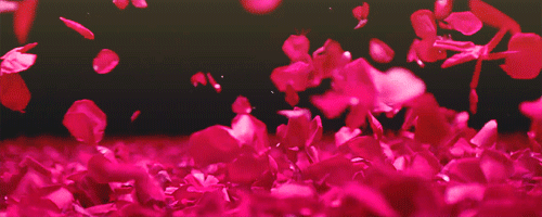 Ciencia curiosa Comer ciertas flores te protege de enfermedades