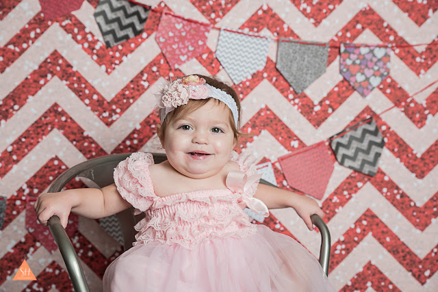 Logan Utah Photographer | Lily Valentine's Mini ~ Stacey ...