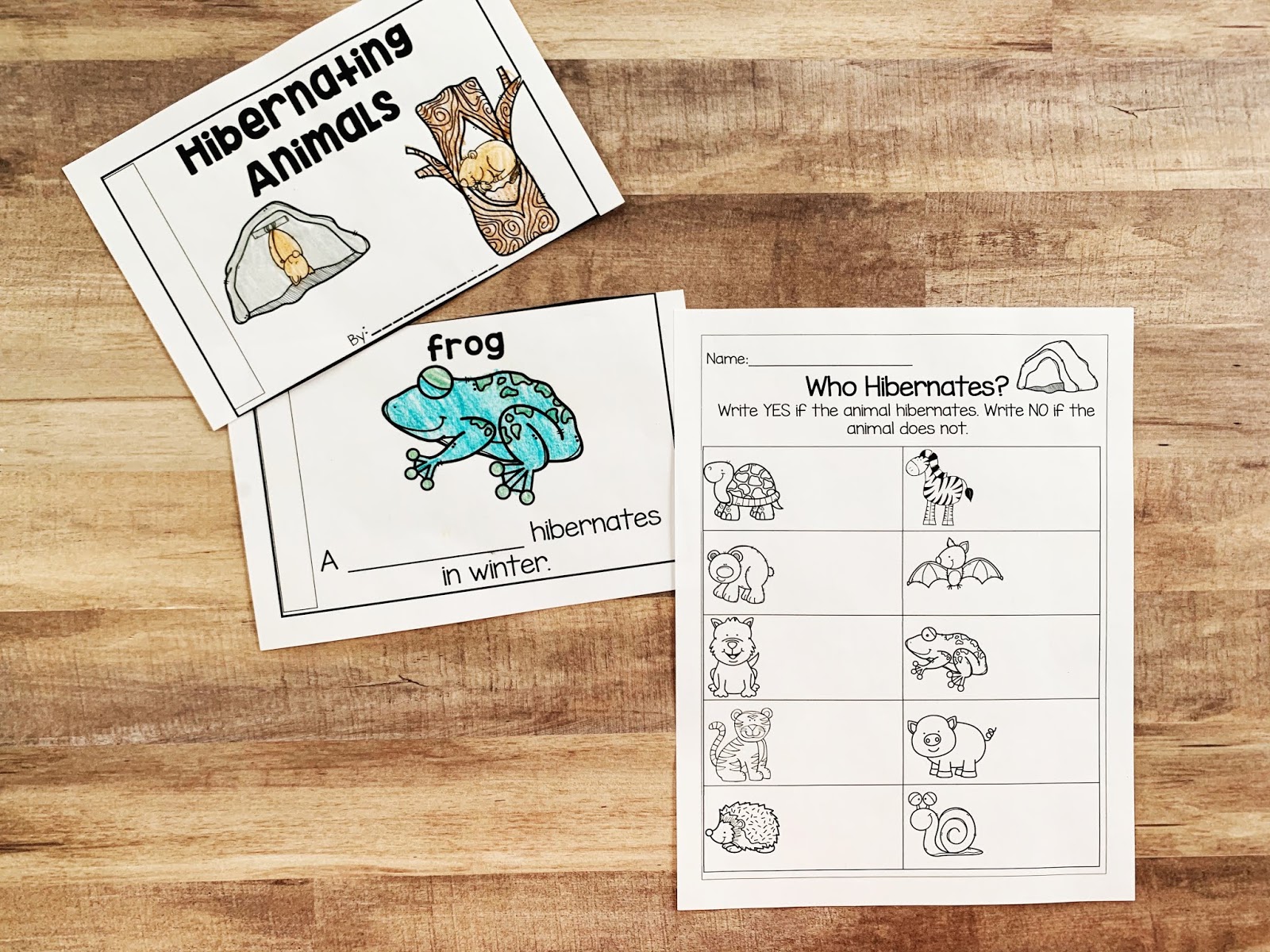Hibernation ELA Unit for Kindergarten and 1st Grade | Busy Hands and Minds