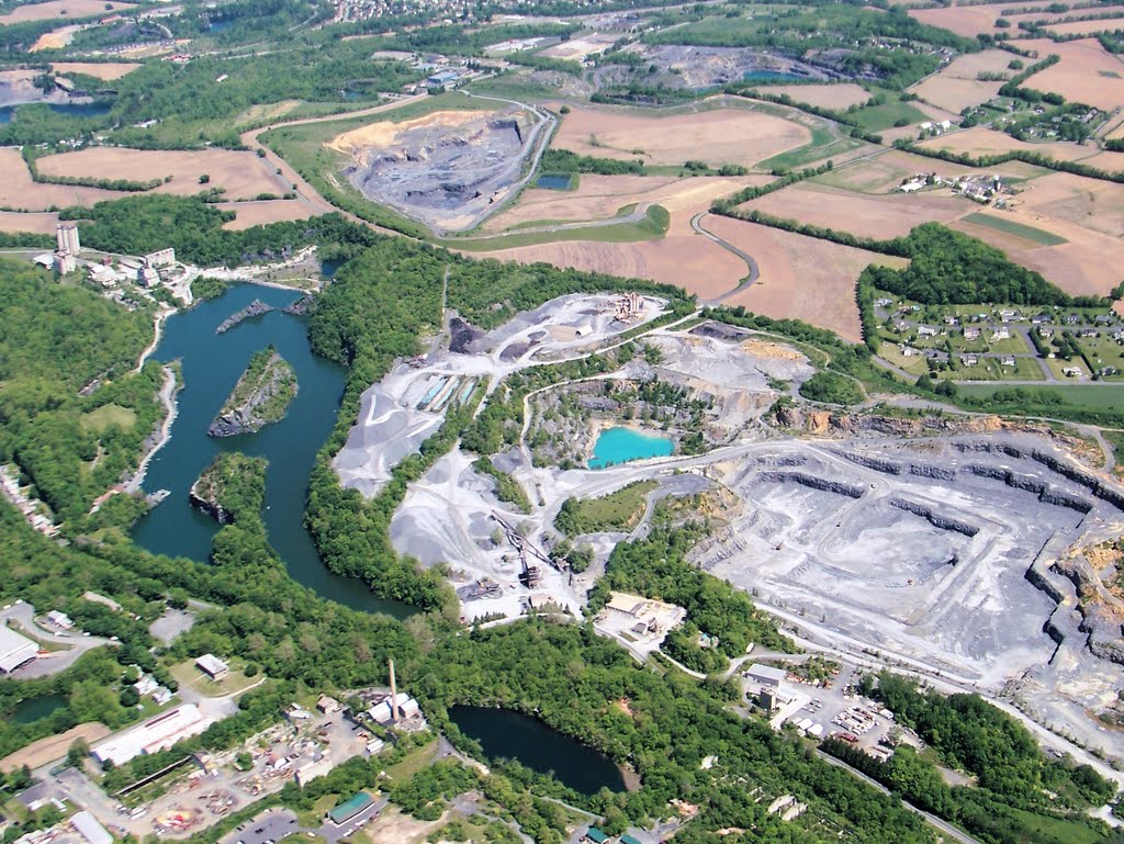 Photographic Logbook The Circle of Life A Birthday and an Endangered