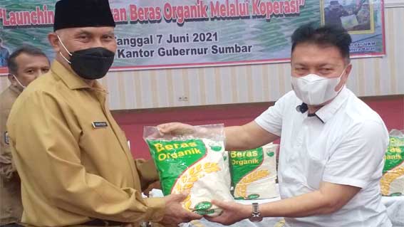 Gubernur Sumbar Launching Beras Organik