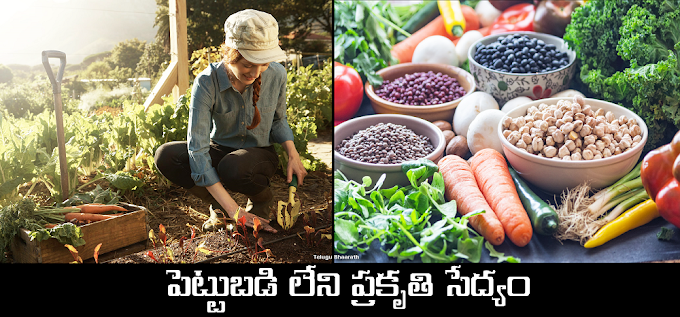 పెట్టుబడి లేని ప్రకృతి సేద్యం - Prakruti Sedyam, Zero Budget Natural Farming