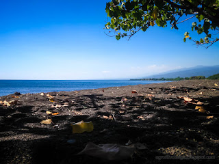 Sunny Day Under The Tree On Tropical Beach Scenery In The Dry Season At Umeanyar Village North Bali Indonesia