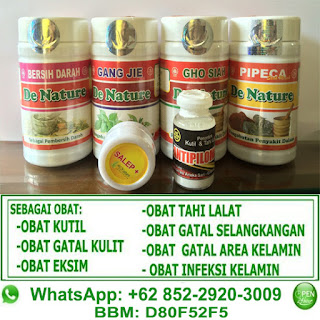 obat kutil kelamin