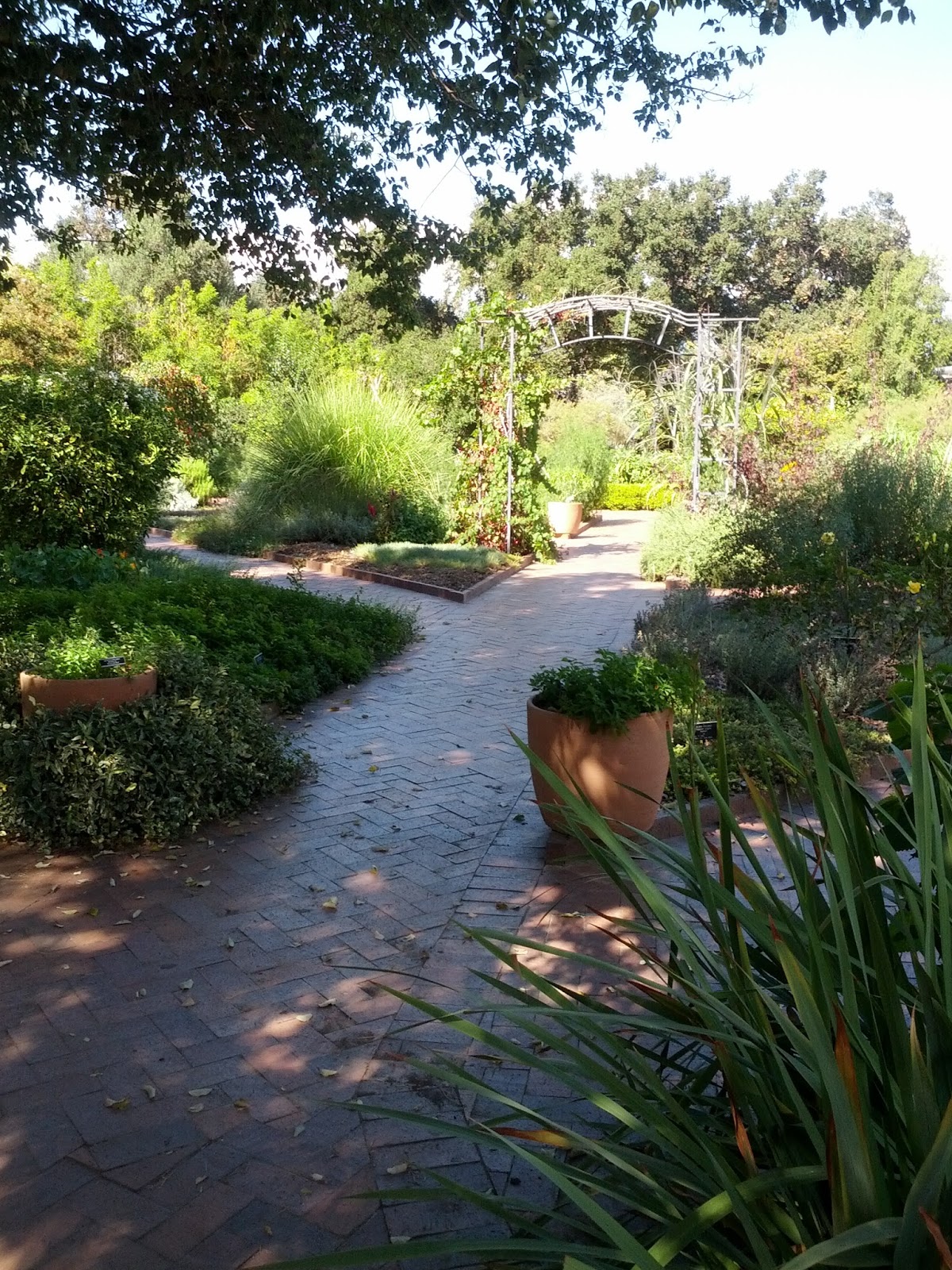 Rikachuuable Huntington Beach Botanical Gardens