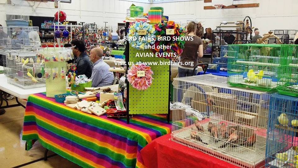 Parrot Blog ParrotPressNews Attending a Bird Show or Fair this Fall?