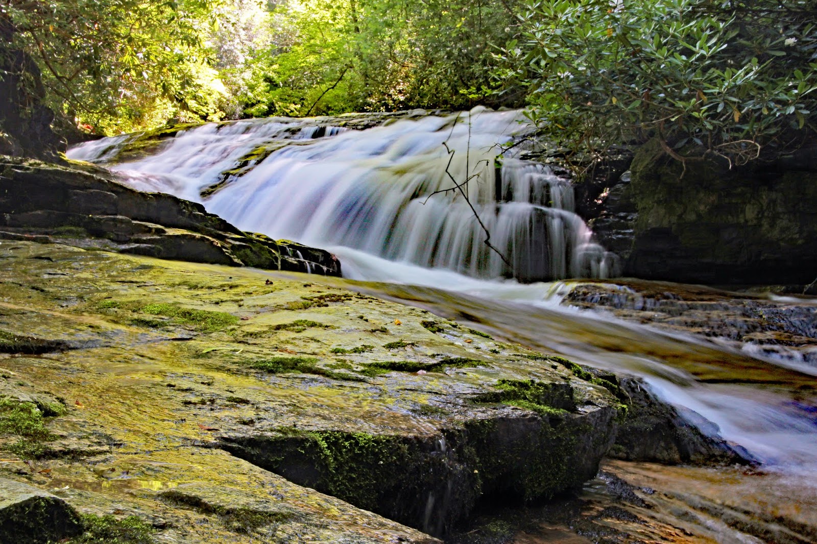 The Adventures of Bushwhack Jack 20190629 Rocky Bottom Adventure