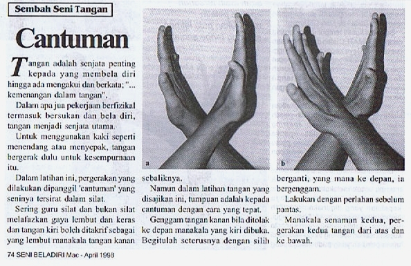 Portraiture Portraiture