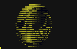 ASCII donut in a terminal