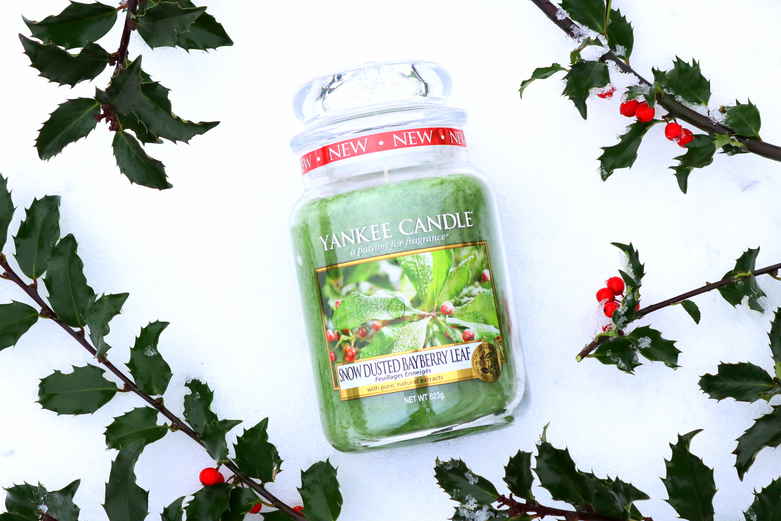 Snow Dusted Bayberry Leaf Yankee Candle
