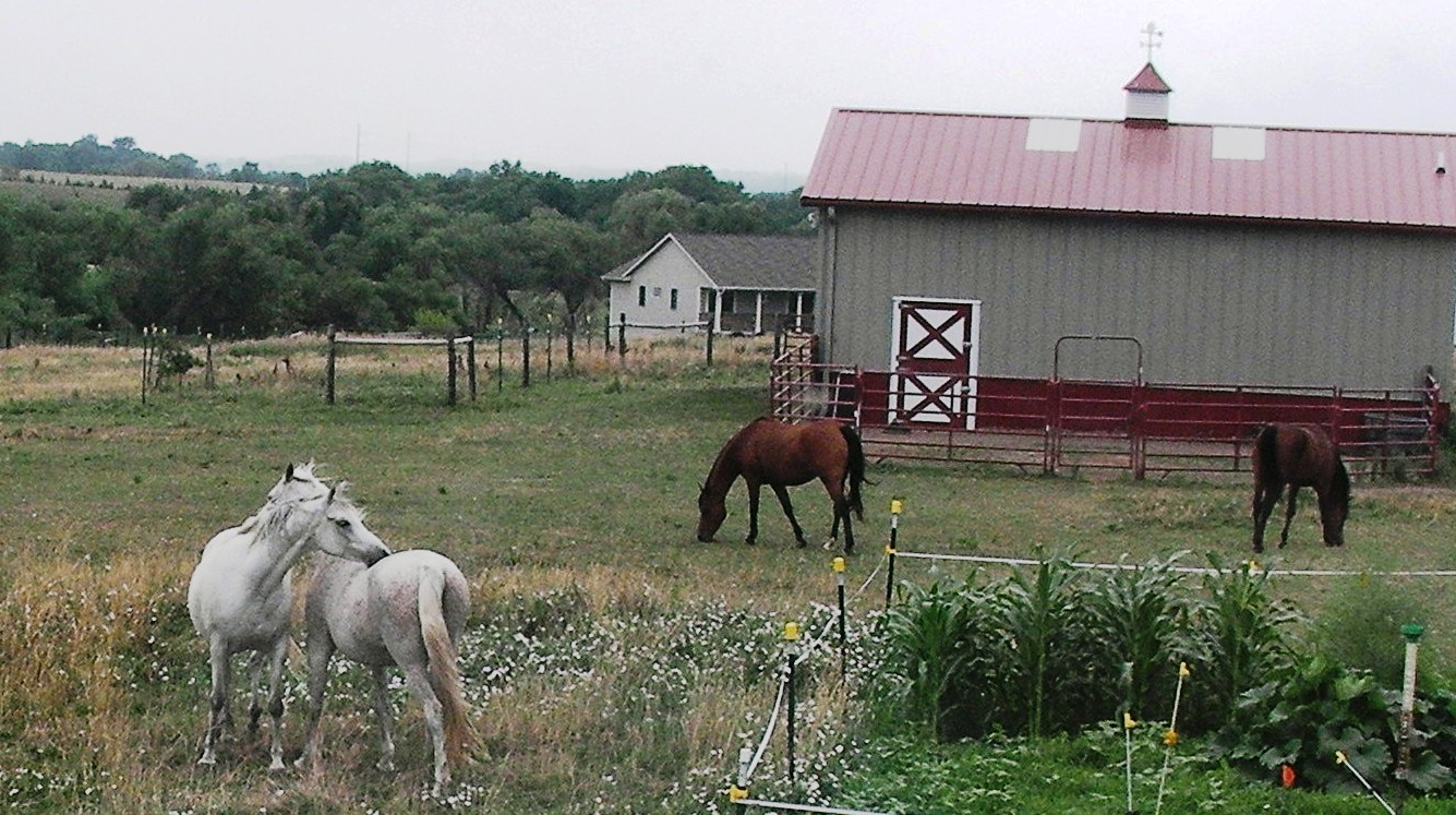 Nebraska Horse Farm For Sale VIEW OF THE BARN FROM THE BACK YARD