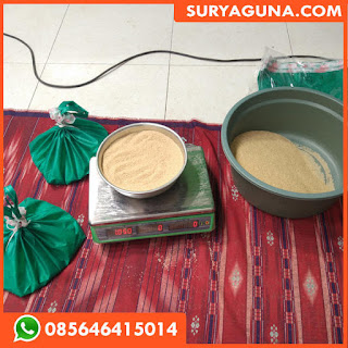 Jual Telur Jangkrik Banyuwangi