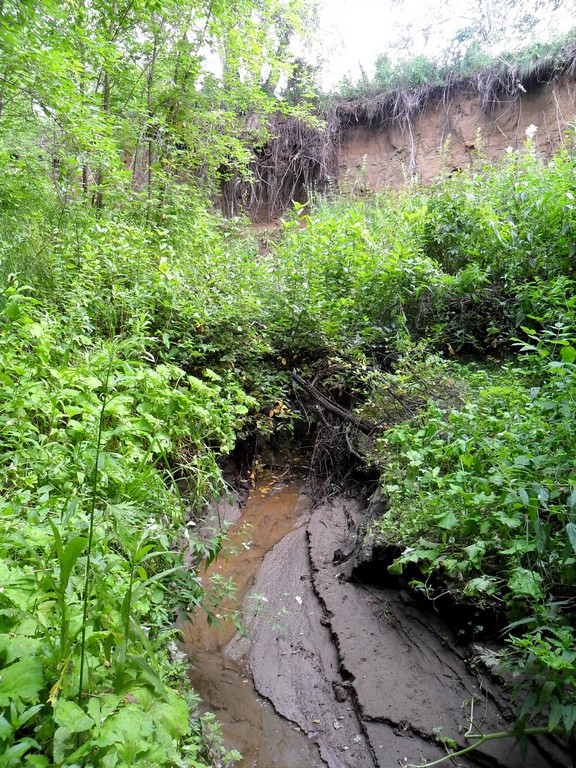 Река черемшанка