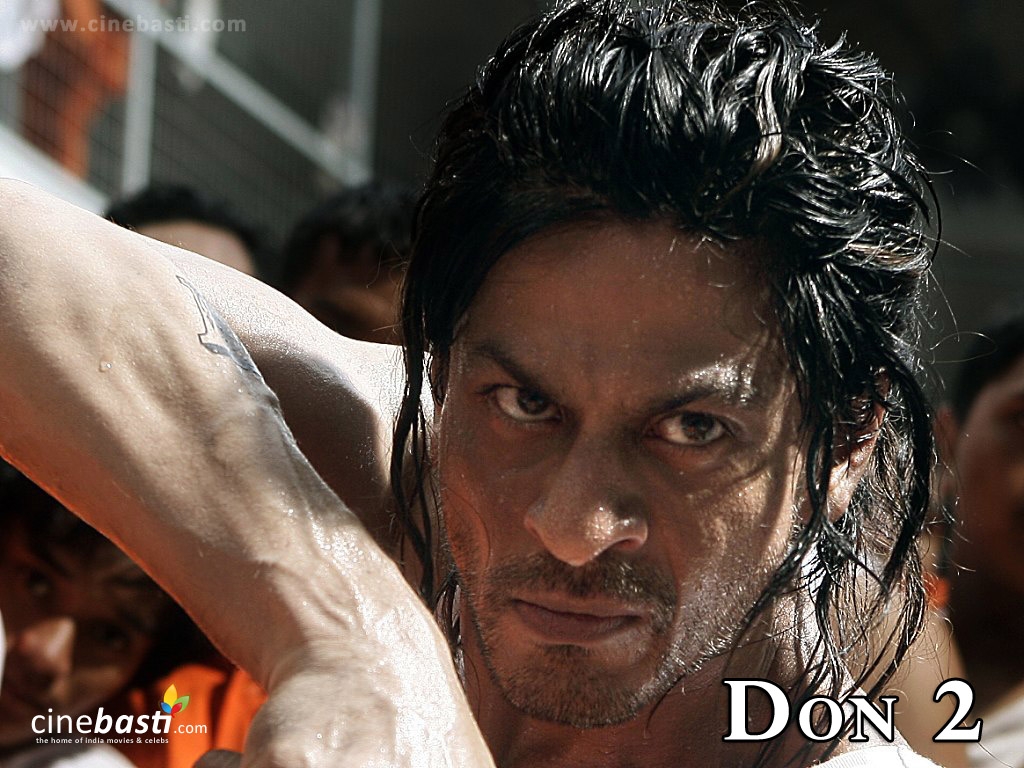 Shahrukh Khan Don Movie Songs Free Download DON 2 HD Wallpapers | HD WALLPAPER