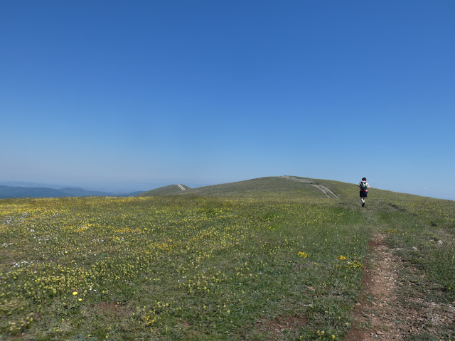 Arrivée au sommet du Milobre.