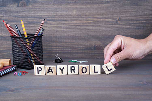  Online Payroll Service: 5 Things You Should Look for in a Payroll Provider 