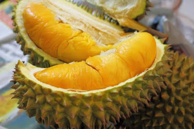 Kandungan Nutrisi Durian Kandungan Nutrisi Durian