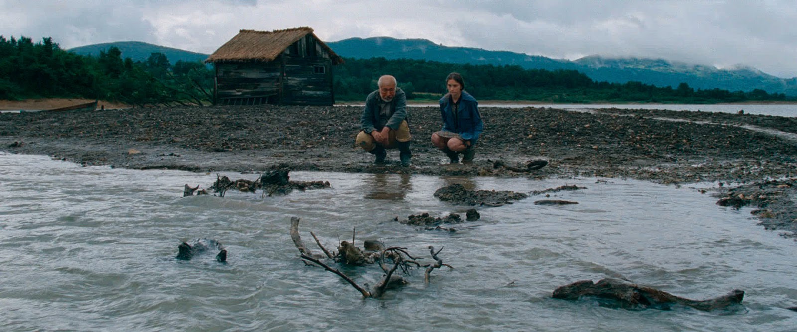 Un Hombre en la Oscuridad Corn ISLAND de Ovashvili