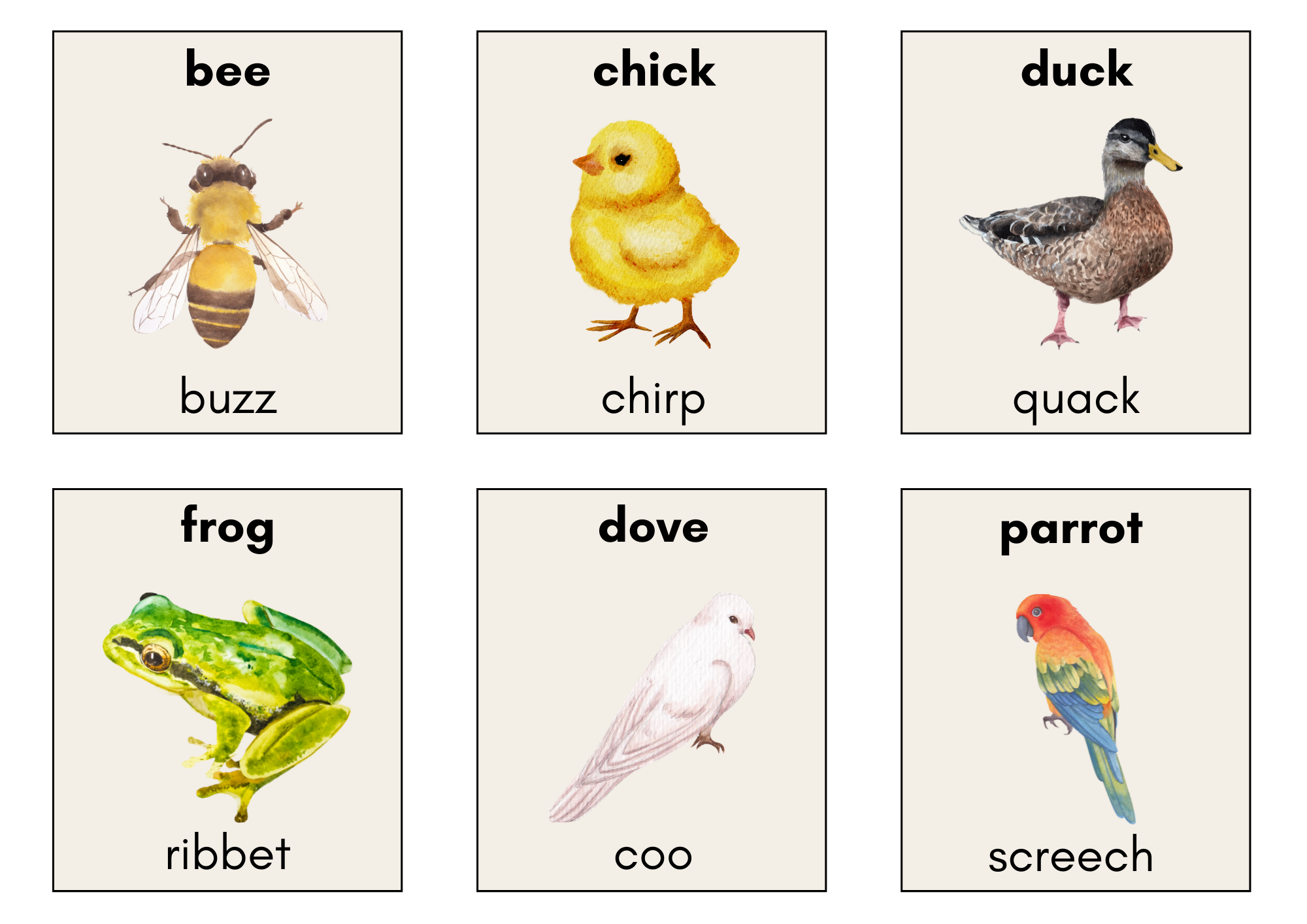 Teacher Arlene: Animal Sounds Flashcards