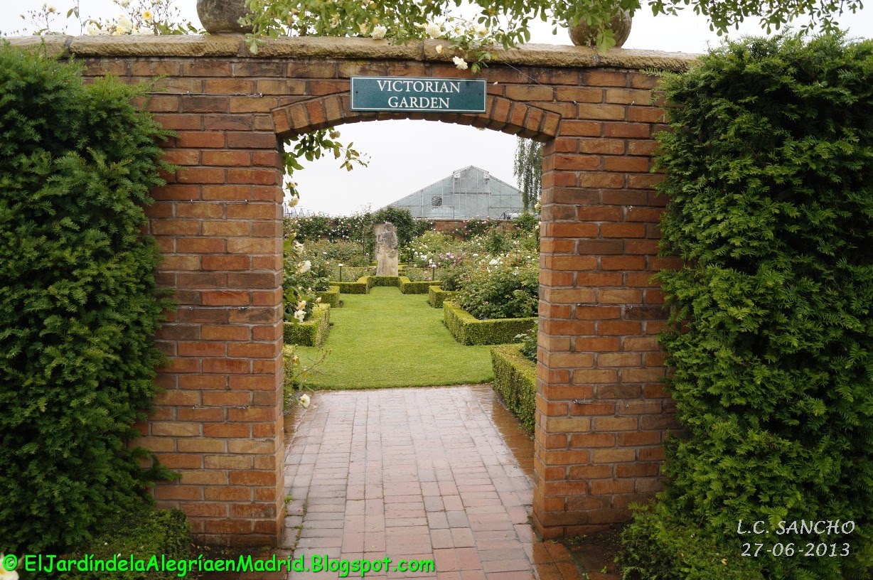 El jardín de la alegría : Rosas y rosales ingleses de David Austin