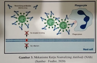 mekanisme kerja neutralizing antibody NAb