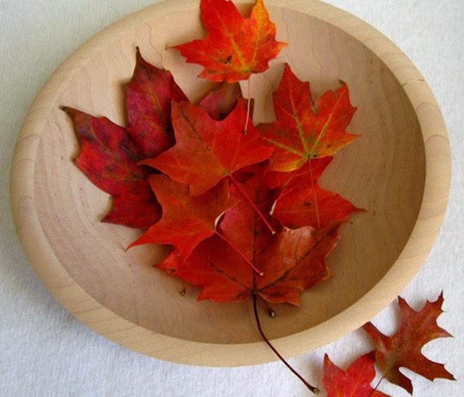 home decor,Decoration: 10 Decor Ideas for Fall Leaves