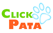 Blog Click Pata