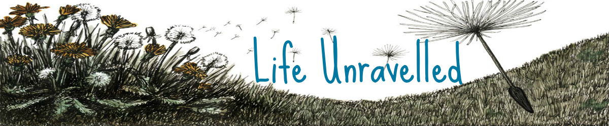 Life Unravelled 