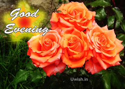 evening wishes greetings flowers ones loved wish quotes paste copy flower goodevening below code
