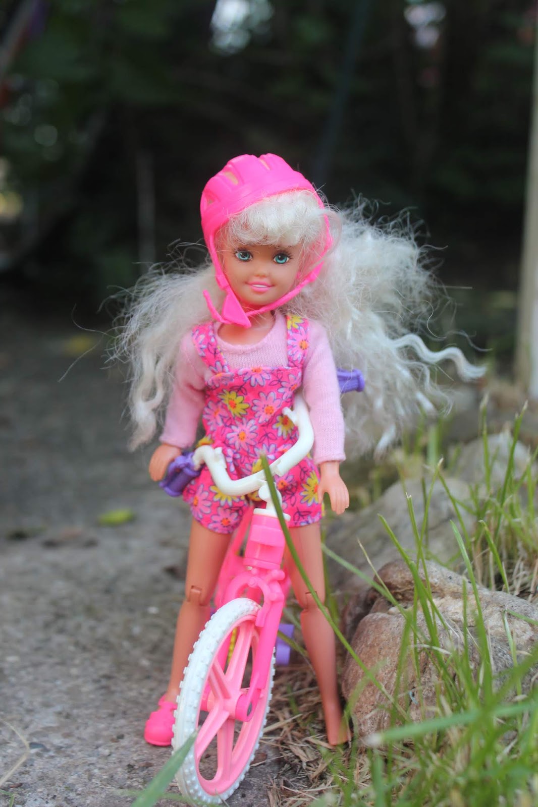 bicyclin stacie
