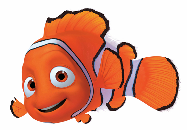 The Beauty of Underwater Nemo Si Ikan Badut The Beauty of Underwater Nemo Si Ikan Badut