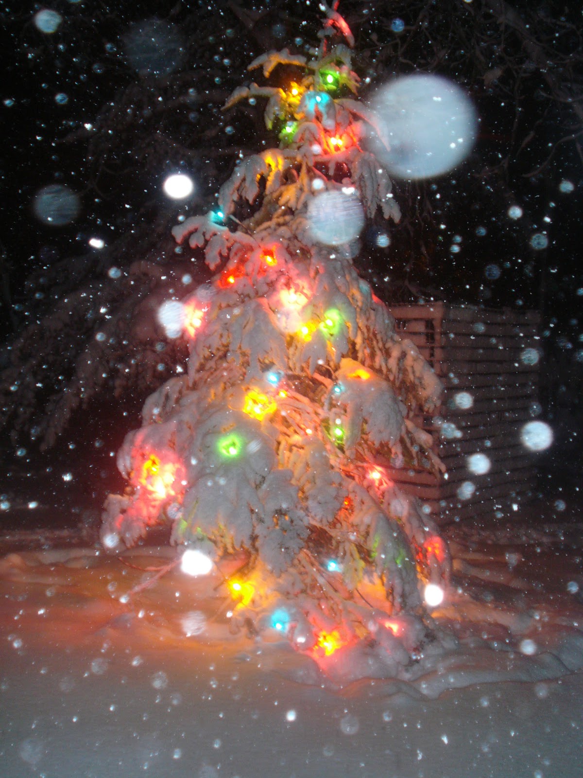 Shadow Lane Farm My Yule/Christmas Tree