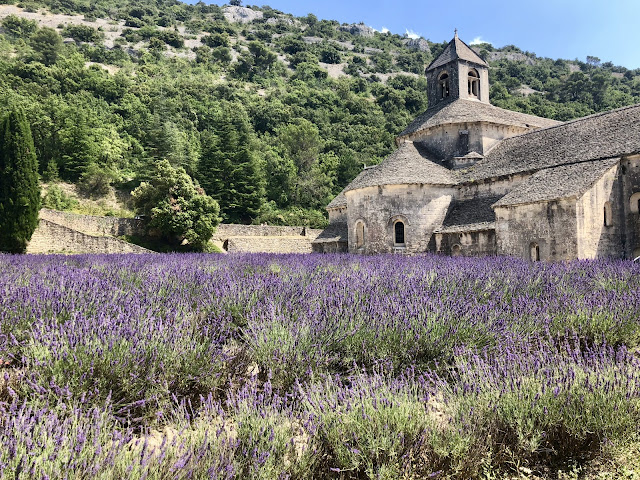 Abatia Sénanque provence franta