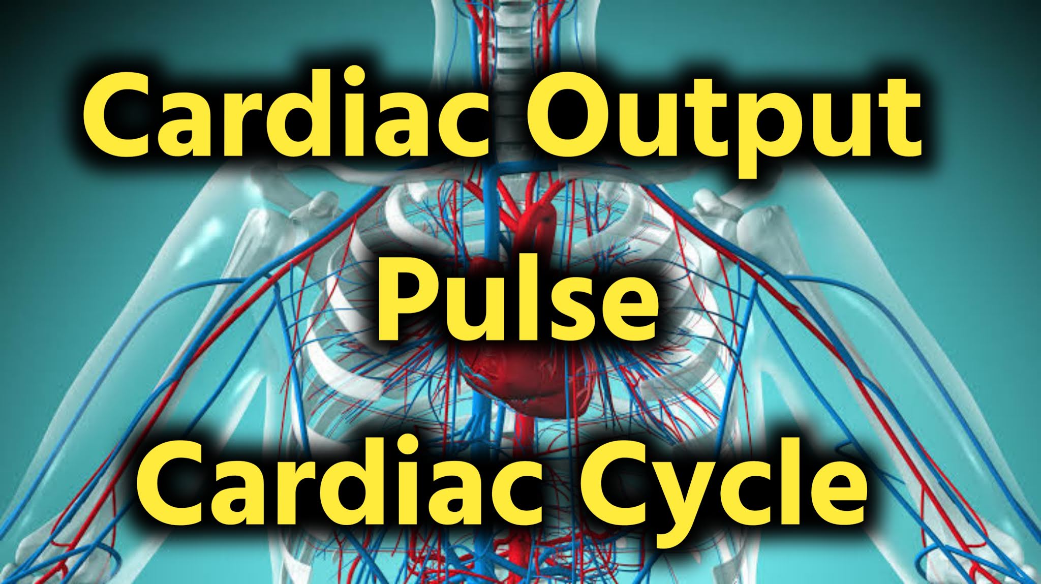 Cardiac Output Pulse Cardiac Cycle