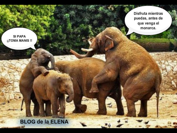 El Blog De La Elena Un Blog Dulce Divertido Y Entretenido 161212 | el blog de la elena un blog dulce divertido y El Blog De La Elena Un Blog Dulce Divertido Y Entretenido 161212 | el blog de la elena un blog dulce divertido y