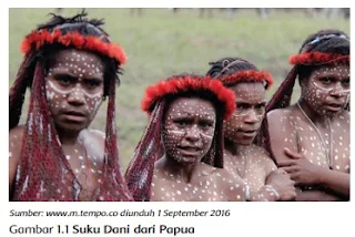  Suku Dani dari Papua www.simplenews.me