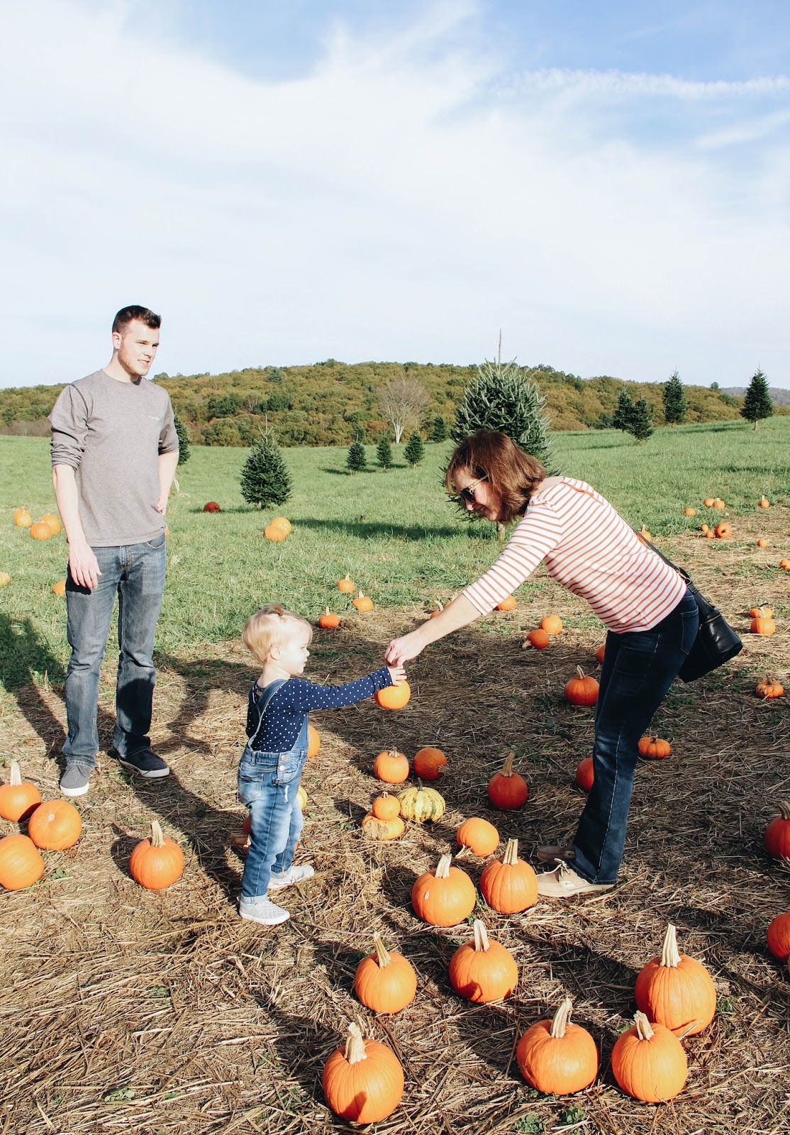 One More Pumpkin Patch Adventure Darling Do
