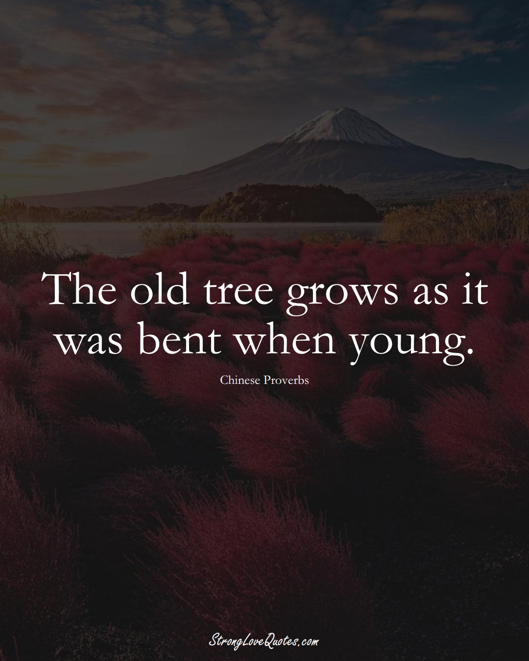 The old tree grows as it was bent when young. (Chinese Sayings);  #AsianSayings