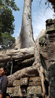 मंदिराचे प्रतिबिंब