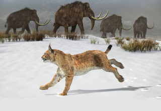 lince prehistorico