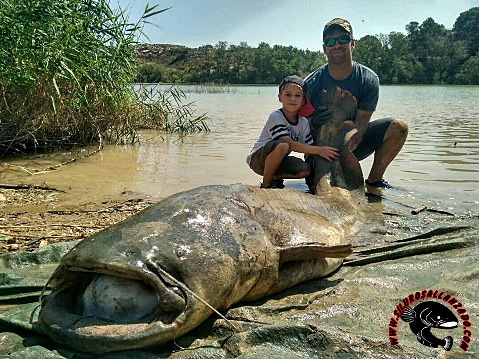 CATFISH FISHING GUIDE IN THE RIVER EBRO, CATFISHING AND CARPFISHING