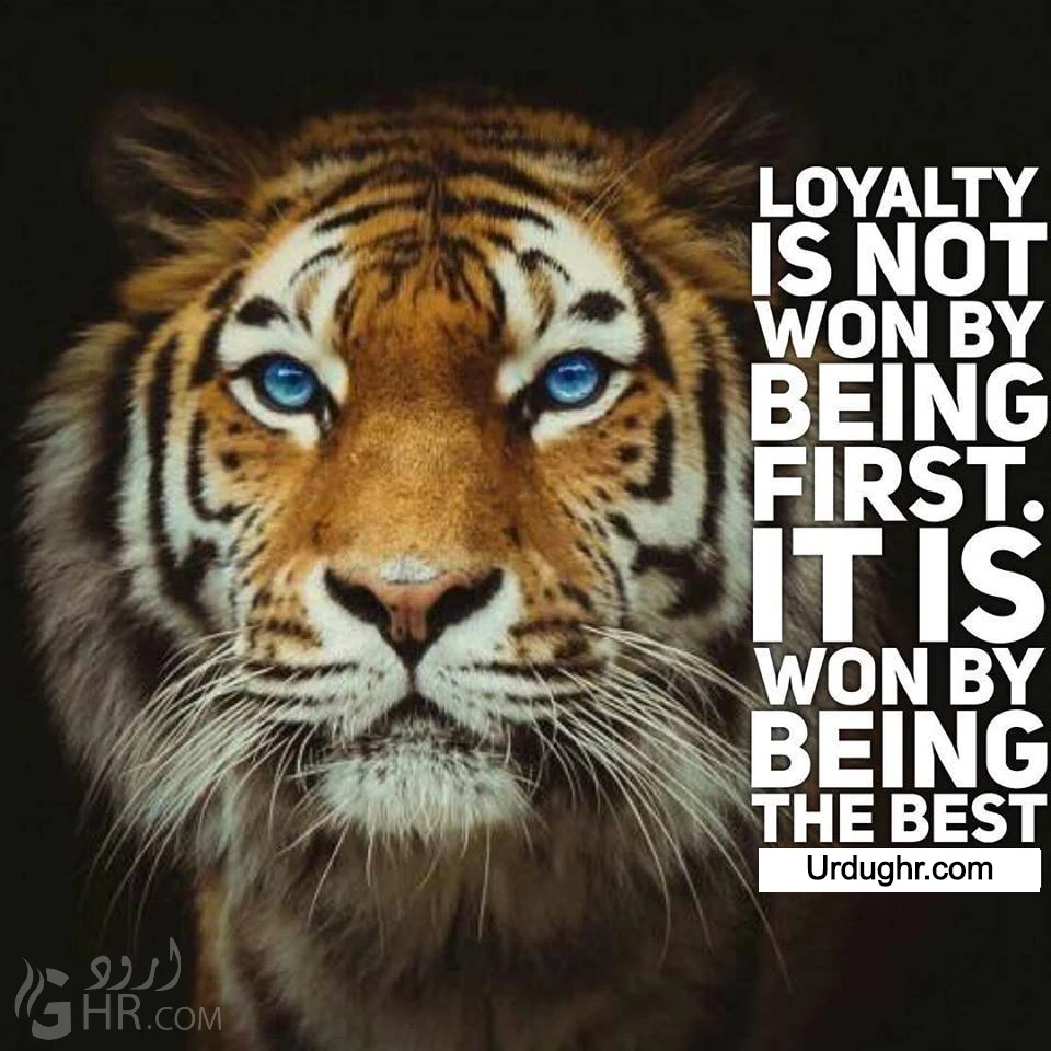 Positive Thinking Quotes