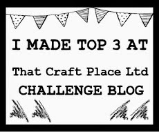 THAT CRAFT PLACE TOP 3 - 3RD MAY 2015