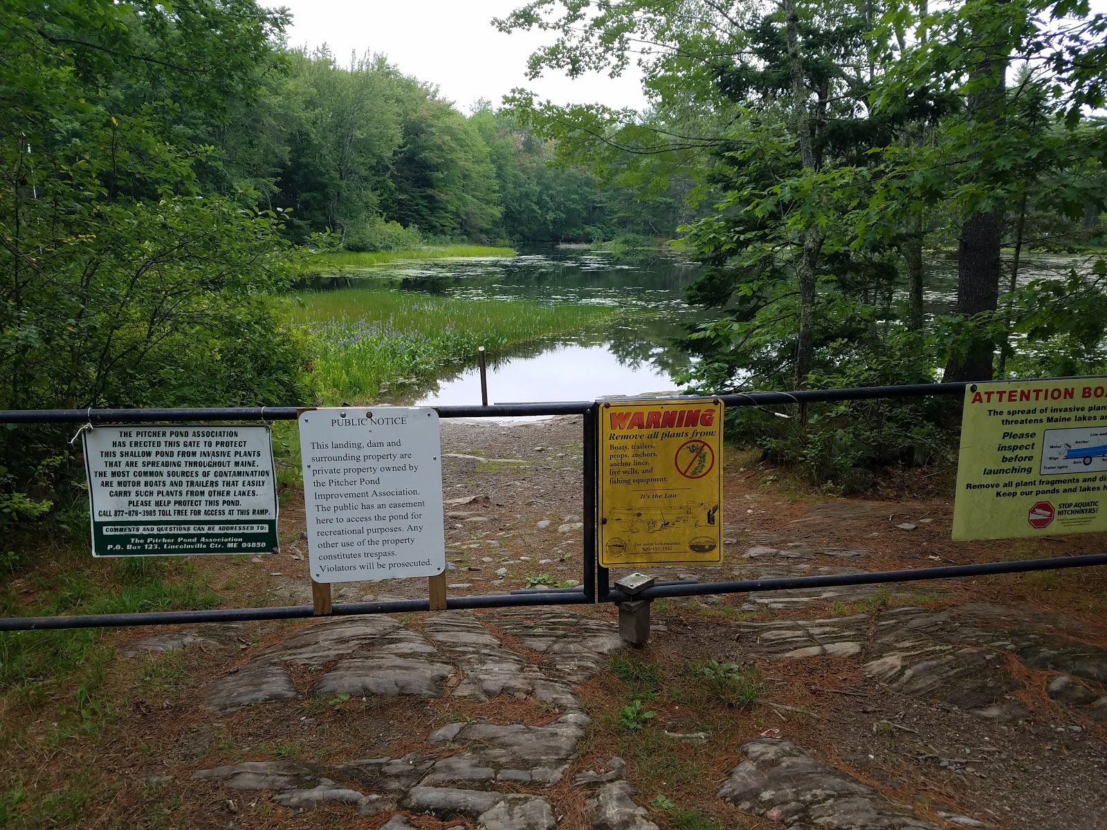 grech-co-pond-salt-calculator.jpg