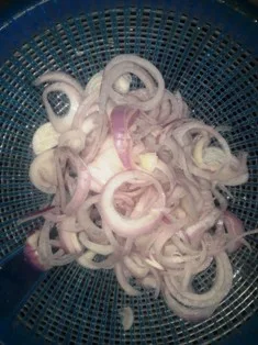 cut-the-onion-into-slices