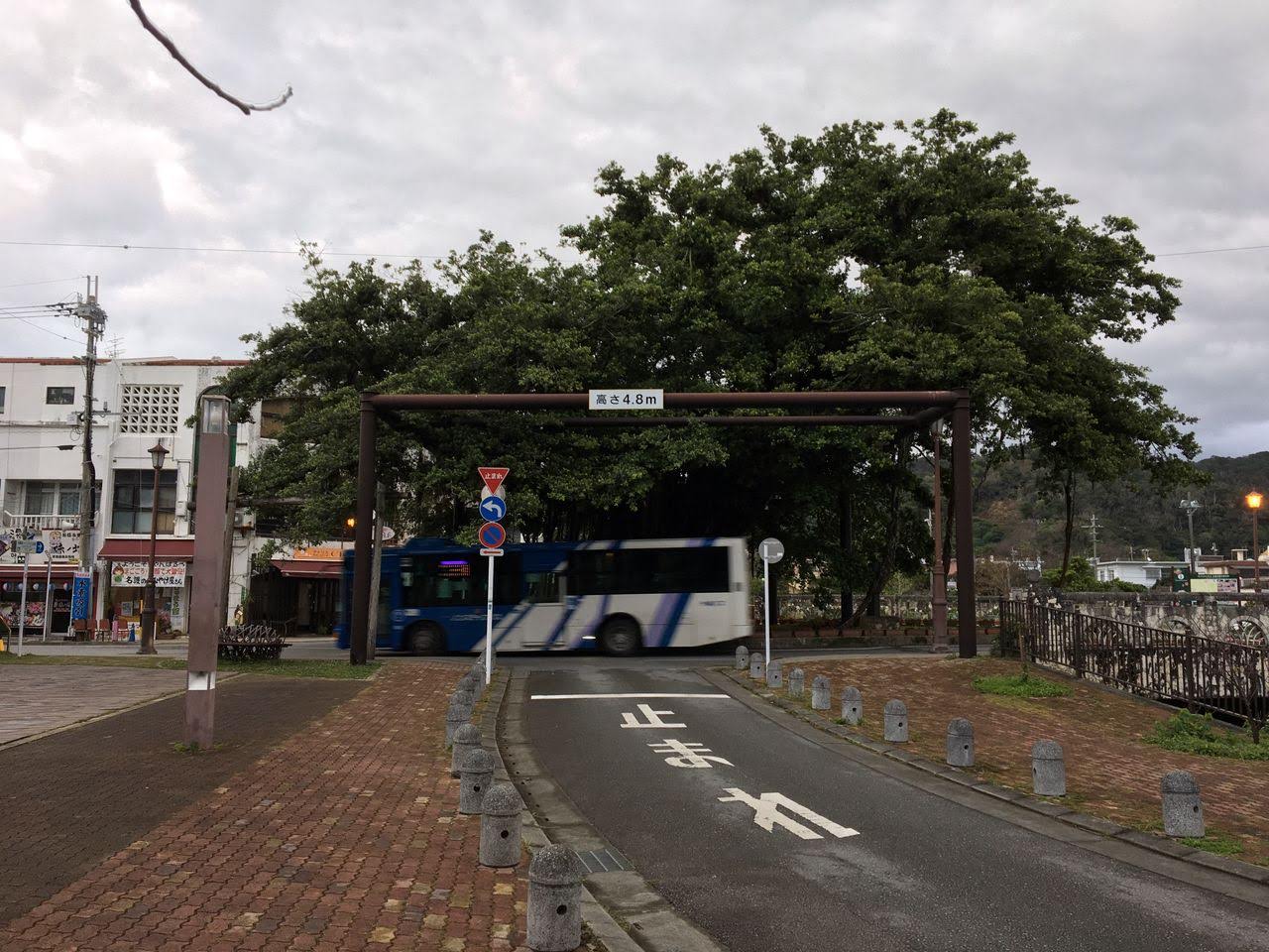 2385 1000 がじゅまる緑地 沖縄県名護市 日本1000公園
