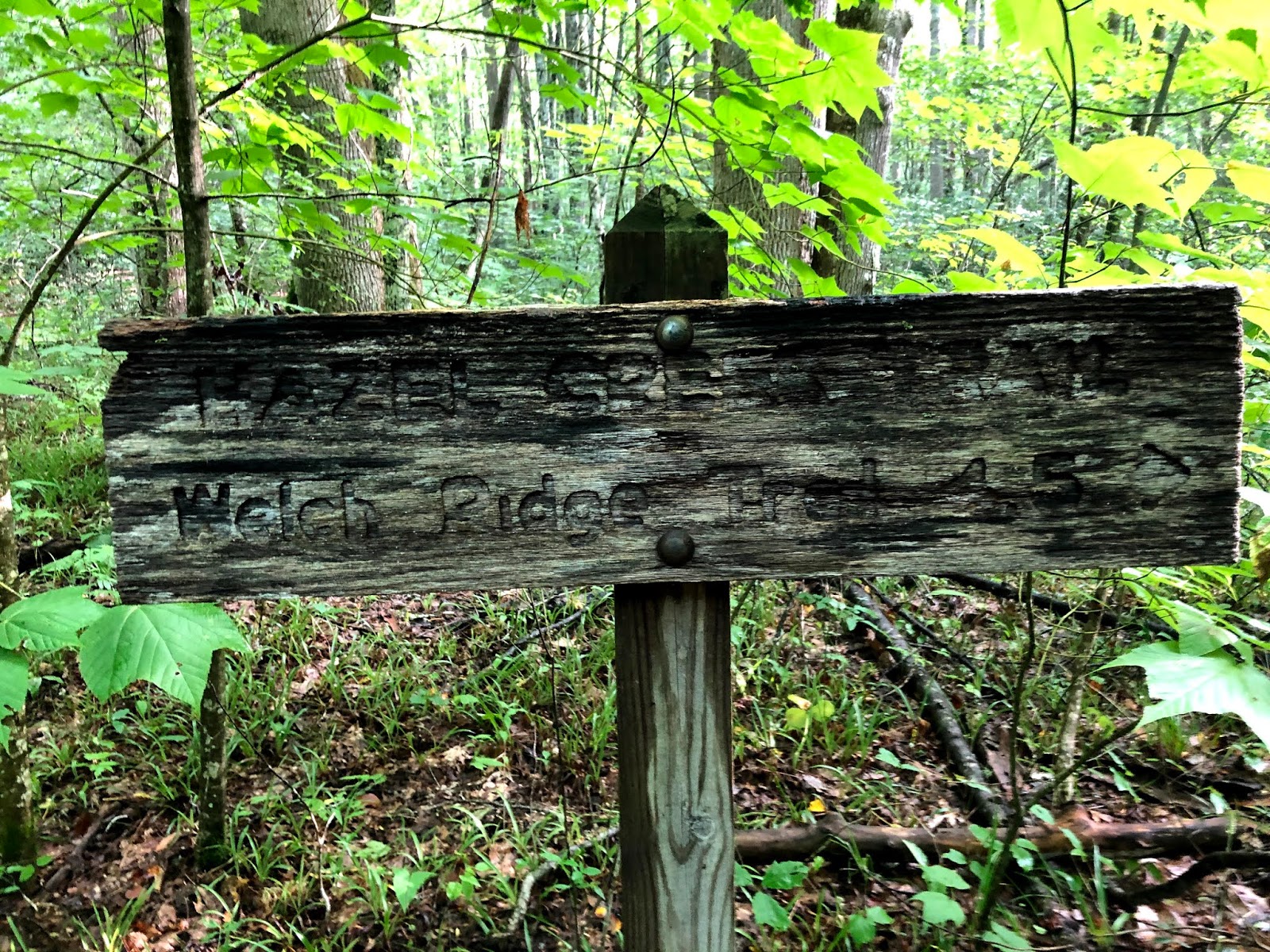 900 miles: AT - Welch Ridge - Cold Spring Gap - Hazel Creek loop 900 miles: AT - Welch Ridge - Cold Spring Gap - Hazel Creek loop